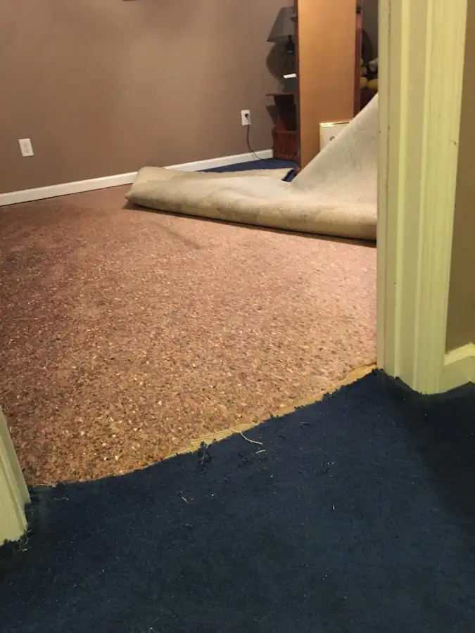 Carpet pad removal revealing water damage during Drying & Dehumidification in East Providence