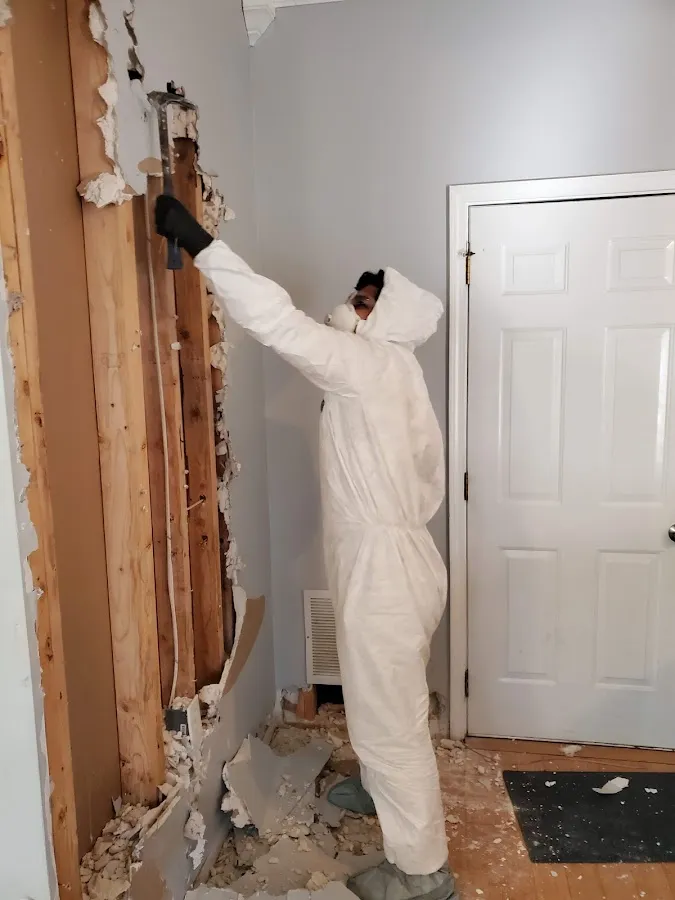 Mold Remediation & Removal in East Providence, RI